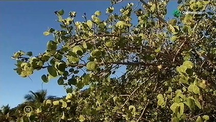 A Természet Csodái 04