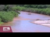 Superan los 2 mil mdp los daños por derrame tóxico en el Río Bacanuchi y Sonora / Pascal