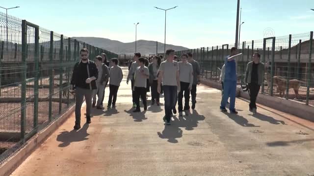 Sivassporlu Futbolcular Hayvan Barınağını Gezdi