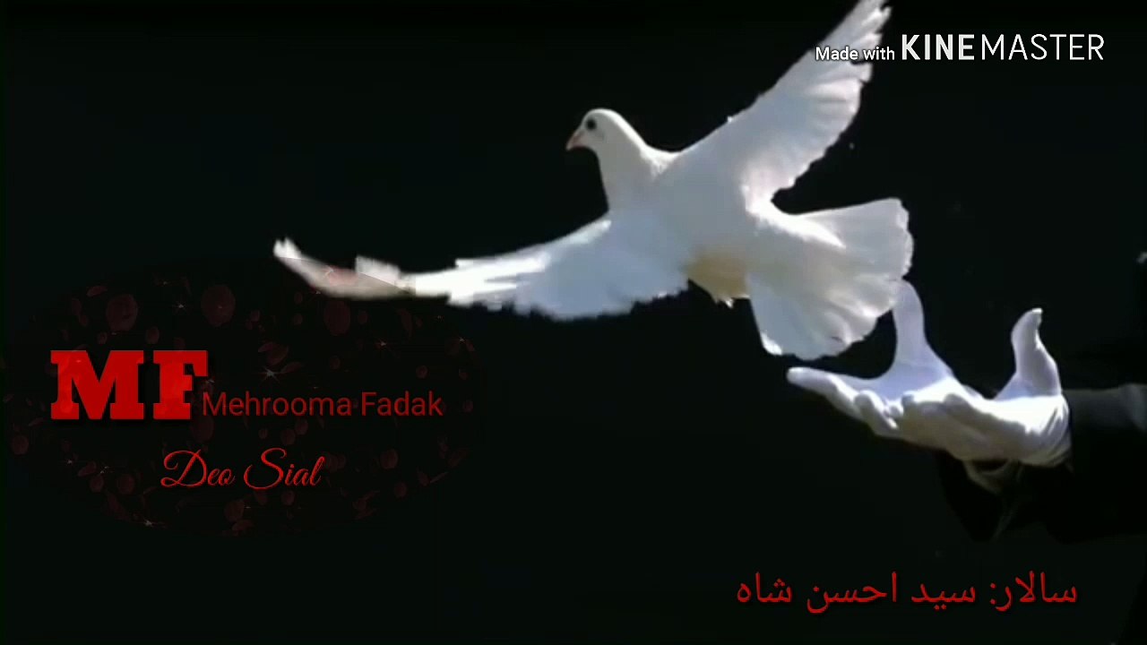 Shabeer Kon Jaldi Katal Karo Noha Shahadat Imam Hussain A.S By Mehrooma Fadak
