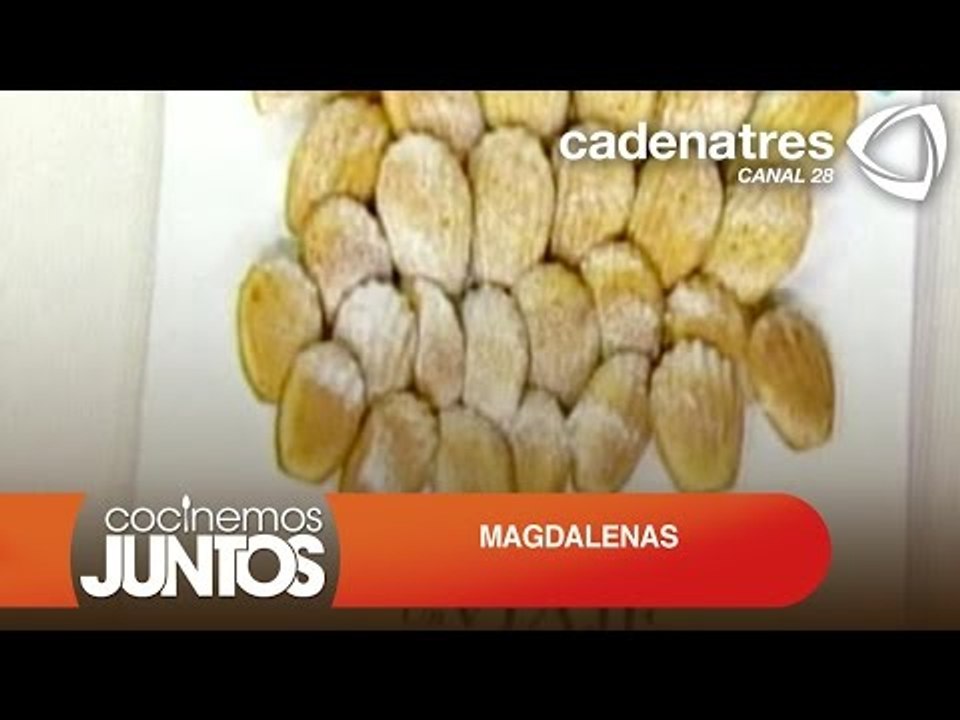 MAGDALENAS  ¿Cómo preparar magdalenas?