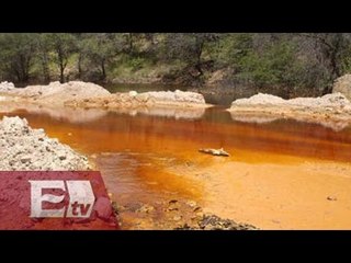 Piden cancelar concesión a Grupo México / Excélsior Informa