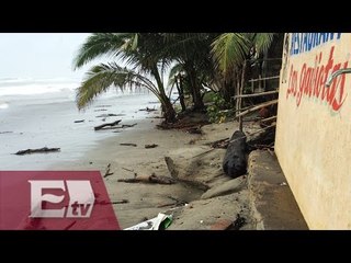 Suspenden clases en Guerrero por el paso de la tormenta tropical Polo/ Titulares