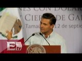Enrique Peña Nieto elimina restricciones en operaciones con dólares / Vianey Esquinca