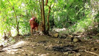 Primitive Technology - Cooking Big crab by Girl At river - Crabs Eating delicious 37