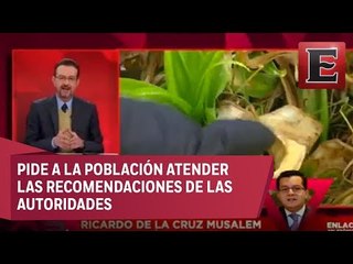 Ricardo de la Cruz habla sobre las bajas temperaturas en México