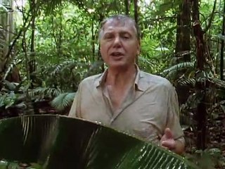 David Attenborough - Az Élet Megpróbáltatásai - 06