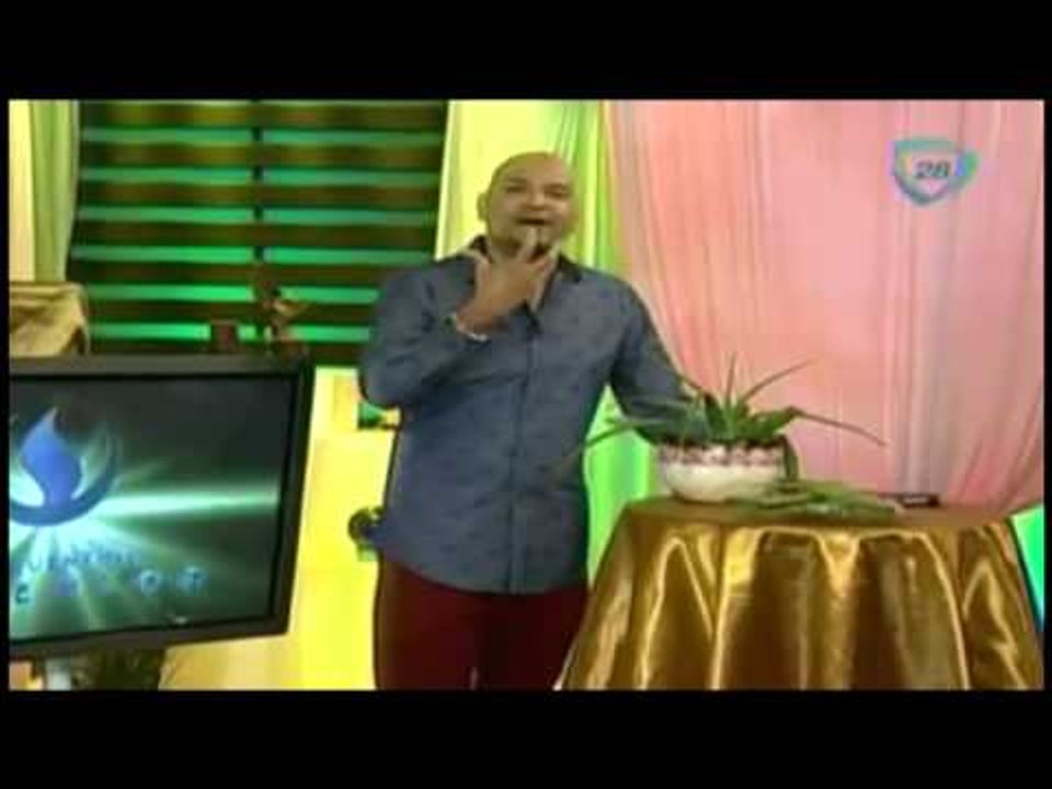 Los beneficios de la sabila / Plantas curativas