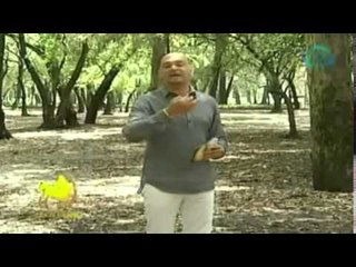 Horóscopos: para Sagitario / ¿Qué le depara a Sagitario el 20 de octubre 2014?