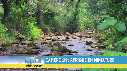 Cameroon: Africa in miniature [Travel]