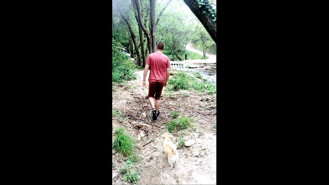 Concours vidéo sciences : Les Pochettes Plastiques Biodégradables