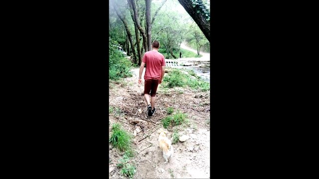 Concours vidéo sciences : Les Pochettes Plastiques Biodégradables