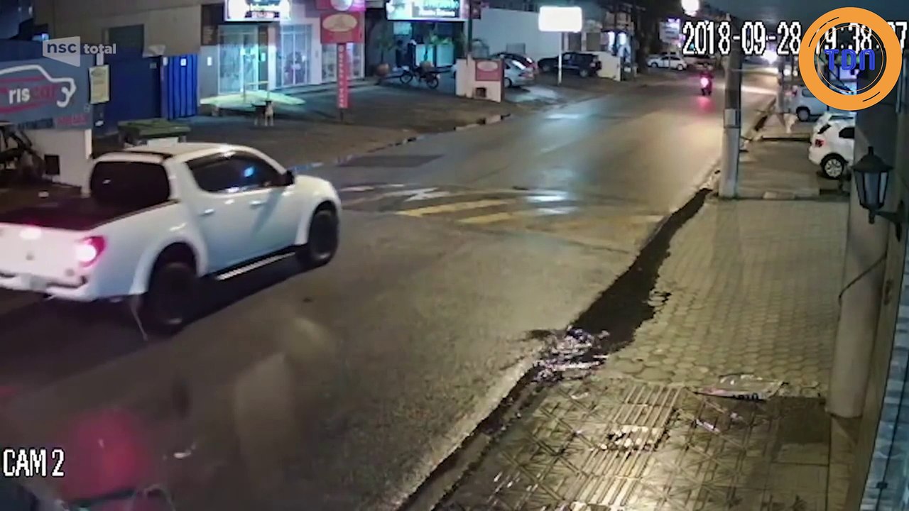 Un cheval en fuite à toute vitesse termine sa course sur une voiture !