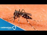 Ejercito sanitario combate en Guerrero al dengue para evitar que se convierta en epidemia