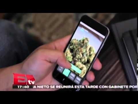 App te lleva dosis de mariguana a domicilio / Andrea Newman