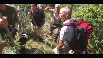 En Ariège, certains éleveurs ont décidé de rouvrir la chasse à l'ours et de résister à l'Etat