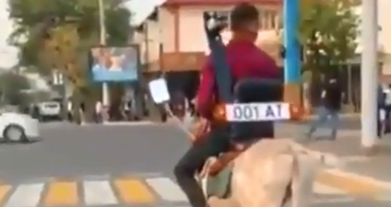 Eşeği Arabaya Çevirip Trafiğe Çıkan Adam Şaşkına Çevirdi