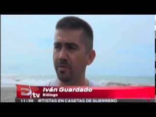 Fuertes lluvias no pusieron en riesgo los campos tortugueros / Excélsior en la Media