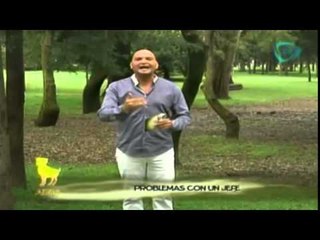 Horóscopos: para Aries / ¿Qué le depara a Aries el 24 de octubre 2014?