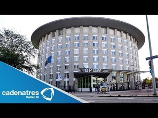 ¿Qué es la organización para la prohibición de las armas químicas?