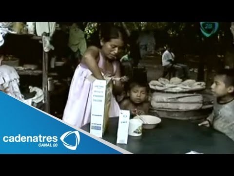 Excélsior coloca GPS a ayuda humanitaria para verificar entrega a damnificados de Guerrero