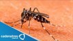 Aumentan los casos de Dengue en Nuevo León / Dengue aumenta en Nuevo León