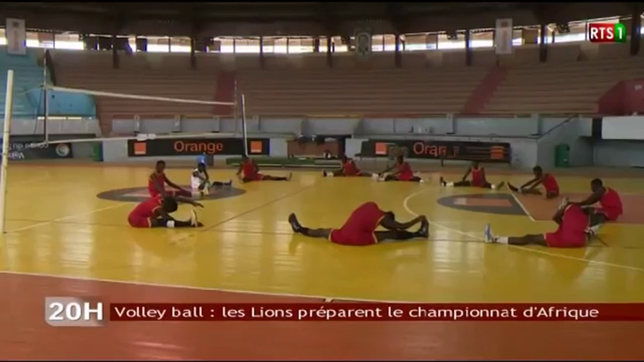 Volley ball : les Lions préparent le championnat d'Afrique