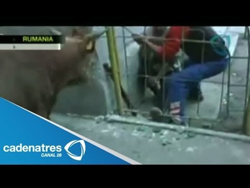 Toro ataca a un policía de tránsito de Rumania...