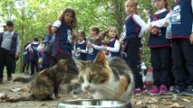 Samsun'daki 'Kedi Kasabası’nda çocuklara hayvan sevgisi aşılandı