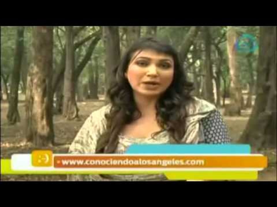 ¿Cómo lograr nuestras metas? / Decreto del día