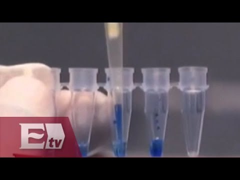 Cuerpos hallados en Guerrero serán identificados en Austria / Excélsior informa