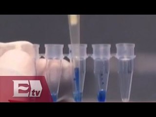 Cuerpos hallados en Guerrero serán identificados en Austria / Excélsior informa