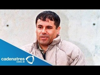 El Chapo tiene licencia de conducir en Estados Unidos /El Chapo is licensed to drive in the U.S.