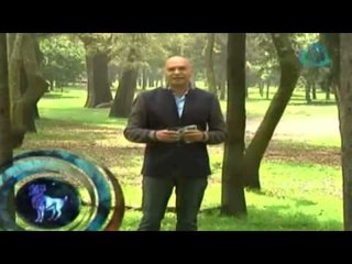 Horóscopos: para Aries /¿Qué le depara a Aries el 13 noviembre 2014?