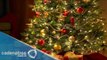 Ideas para decorar el árbol de Navidad/ Adornos navideños