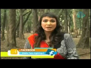 Cómo eliminar la frase 'trataré' de tu vocabulario / Decreto del día