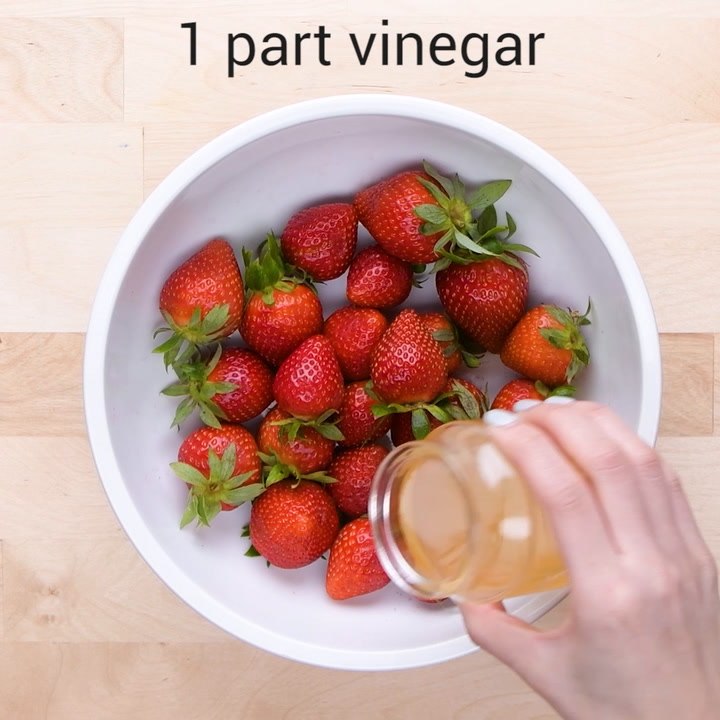 Keep Your Groceries Fresher, Longer