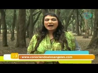 ¿Cómo eliminar de nuestro vocabulario la frase 'No sé'? / Nuestro Día