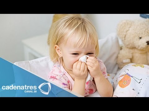 ¿Cuáles son las infecciones más comunes?