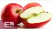 Propiedades y beneficios de la manzana / Salud