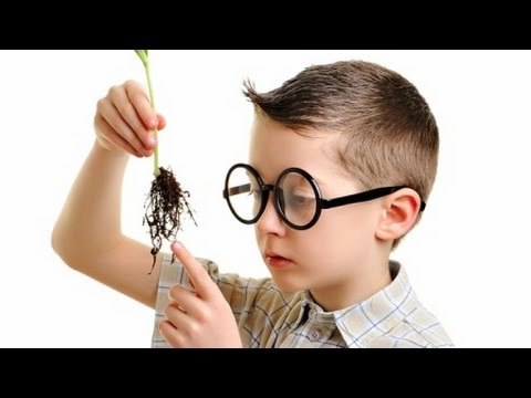 Cómo potencializar la inteligencia de nuestros hijos / Nuestro Día