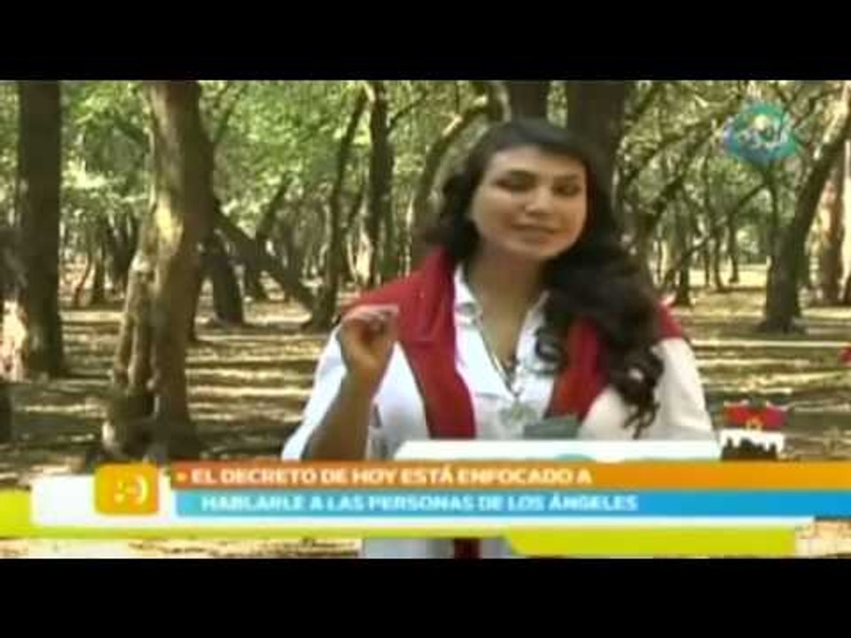 Decreto del día / Nuestro Día