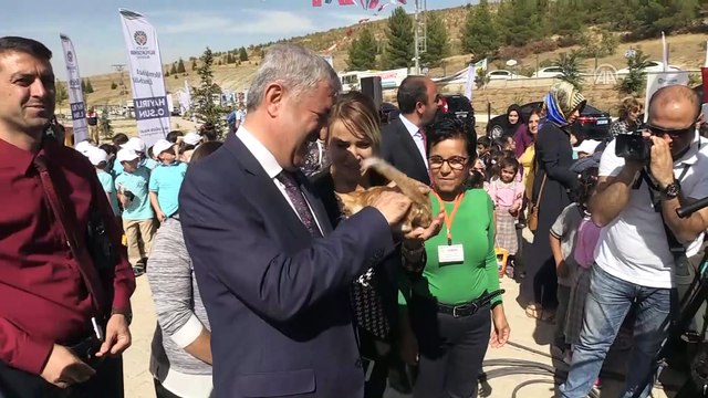 Malatya'da sokak hayvanlarına sıcak yuva