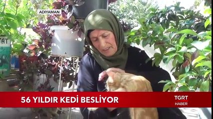 56 Yıldır Kedi Besliyor