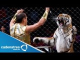 Tigre ataca a domador de un circo / Tigre ataca a su domador directo al cuello
