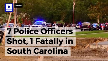 7 Police Officers Shot, 1 Fatally in South Carolina