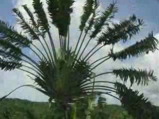 Izany no tena Gasy...