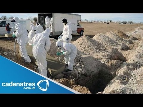 Aumenta a 21 el numero de cuerpos hallados en fosas de Jalisco