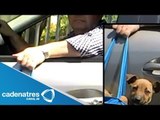 ¡¡¡MALTRATO ANIMAL!!! Transporta a perros colgando en una bolsa fuera del automóvil