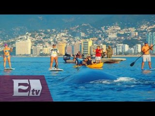 Comienza la llegada de turistas a Acapulco, Guerrero / Vianey Esquinca